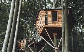 Baumhaushotel Robins Nest